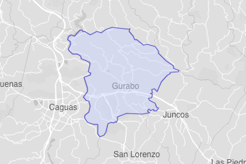 Gurabo Municipio, PR