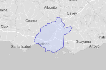 Salinas Municipio, PR