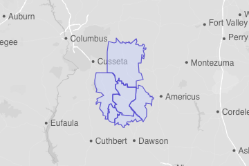 Webster County, GA ZIP Codes