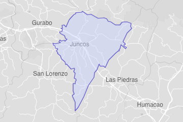 Juncos Municipio, PR ZIP Codes