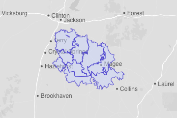 Simpson County, MS ZIP Codes