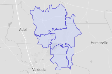 Lanier County, GA ZIP Codes