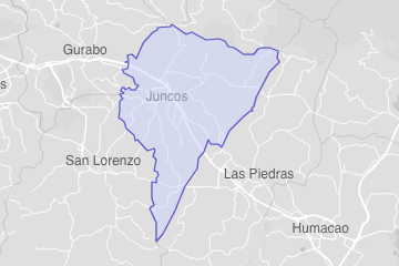 Juncos Municipio, PR