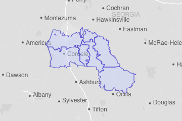 Wilcox County, GA ZIP Codes