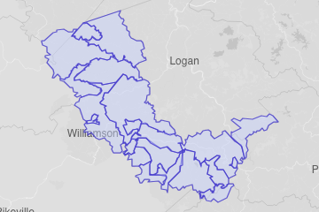 Mingo County, WV ZIP Codes