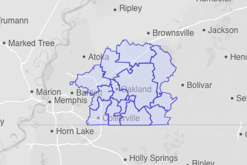 Fayette County, TN ZIP Codes