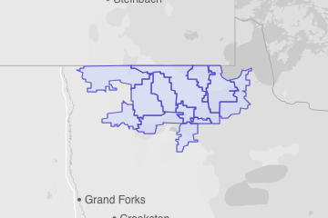 Roseau County, MN ZIP Codes